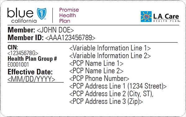 Sample Id Card Blue Shield Of Ca Sample Id Card Blue Shield Of Ca
